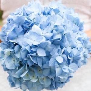 Meet your Posher, Tanya